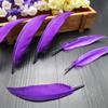 50Pcsdiy Scimitar Feather Colored Feather Handicrafts Jewelry Accessories Material Feather