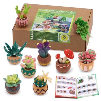 BUDDUR Succulent Potted Plants Wool Felting Kit With Instruction And Storage Bag For Handmade DIY Creation Non-finished Package