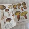 [USED] 1972 Czech Mushroom Encyclopedia, Foreign Book, Antique Book