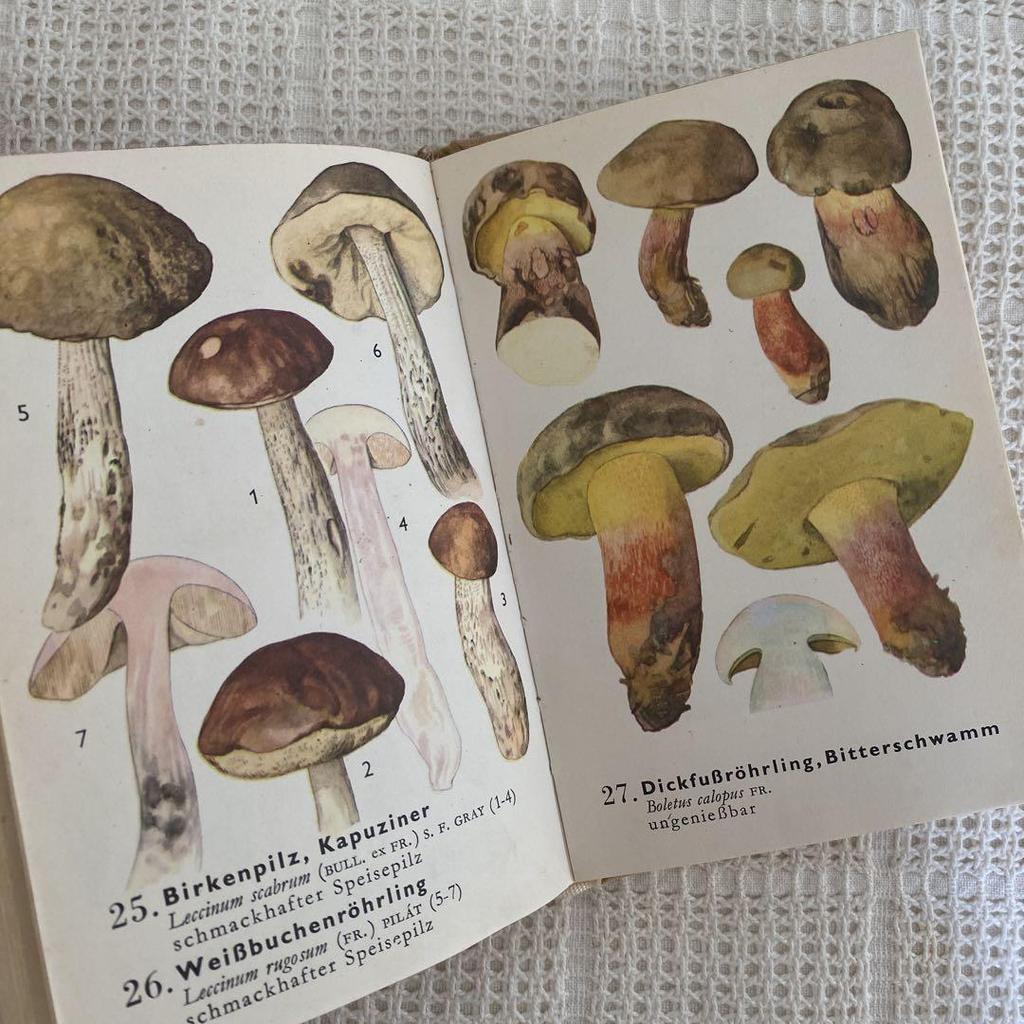 [USED] 1972 Czech Mushroom Encyclopedia, Foreign Book, Antique Book