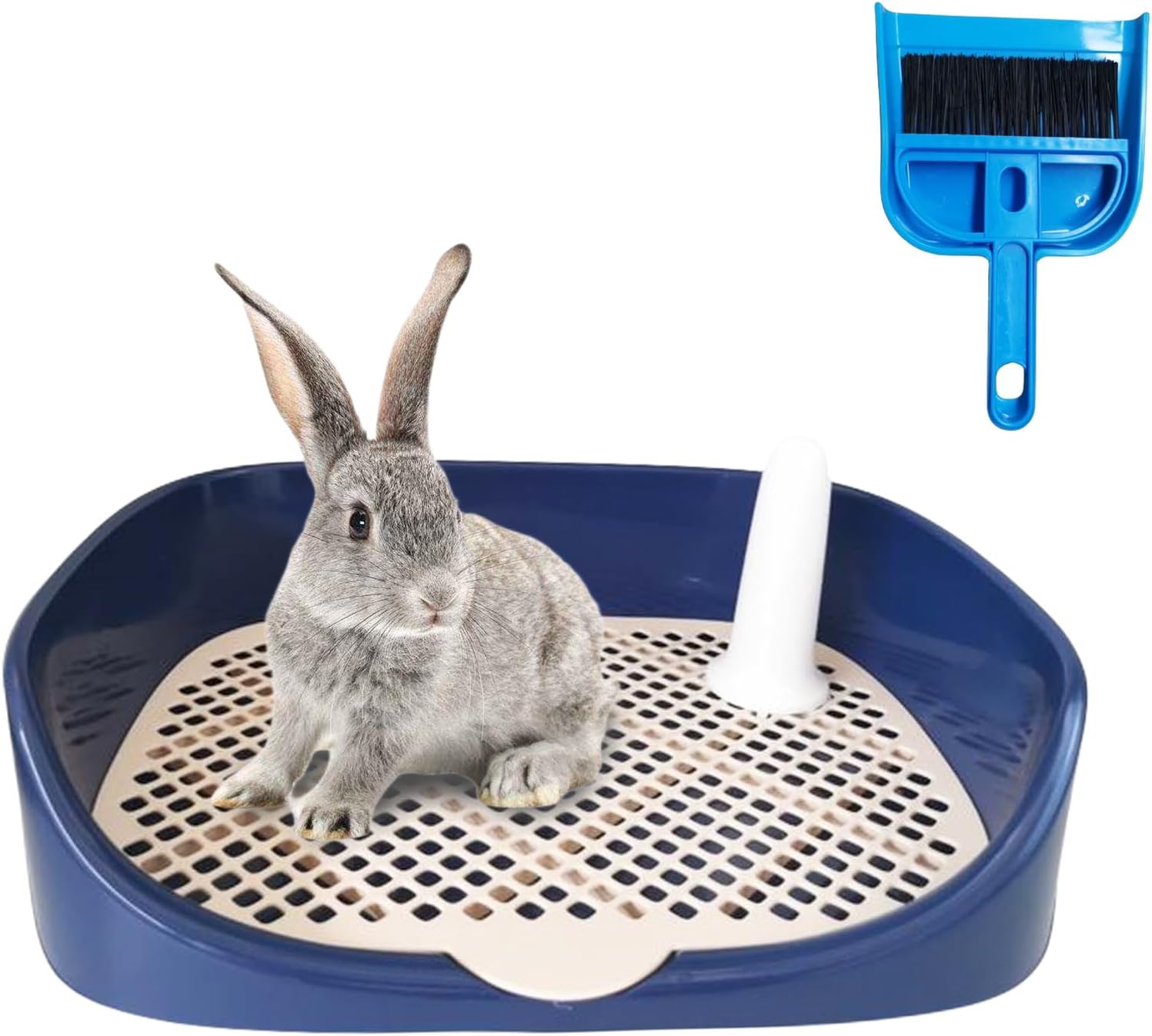 

Rabbit Litter Box for Guinea Pig, Ferret & Chinchilla - Blue Rectangle Corner Pan (15.7 x 11.8 ) синій