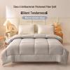 Class A Antibacterial Winter Fiber Quilt