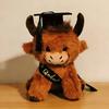 2026 Graduation Highland Cow Plush Toy with Cap Gown Soft Stuffed Animal Graduation Keepsake Toy for Preschool High School College Grads