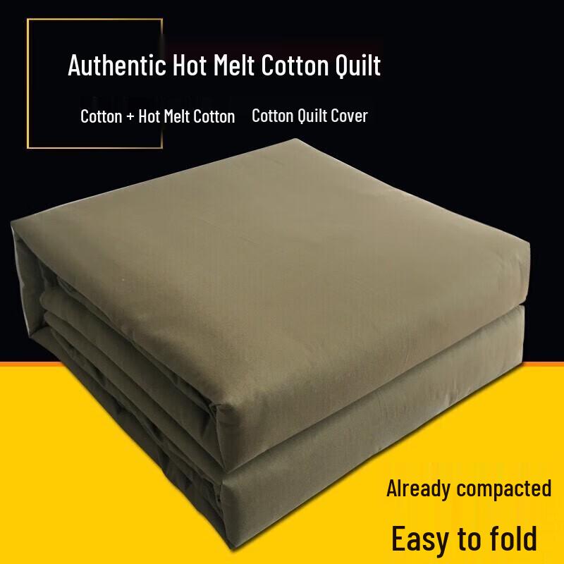 Student Dormitory Winter Thermal Cotton Quilt