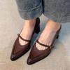Vintage Frühling Dicke Ferse Damen Mary Jane Schuhe Flacher Schnallenriemen Schuhe Damen Elegant Spitze Zehen Tanzparty Pumps