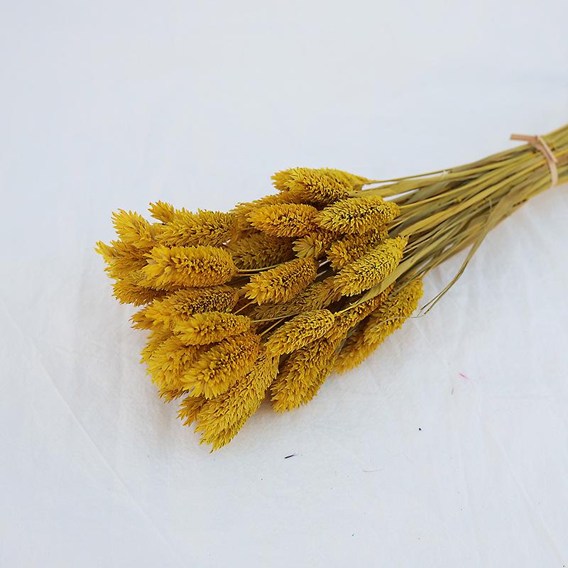 Natural Dried Statice Flower Bouquet - Everlasting Decoration for Vase & DIY Arrangements