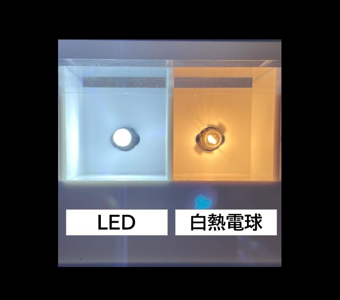 NISSEI KOGYO Polarg, LED Premium License Room, T10, 90lm, 6700K, J-278, P5168W, Genuine Bulb Manufacturer