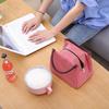 Insulated Oxford Cloth Striped Lunch and Picnic Bag - Large, Waterproof, B Style Ice Bag