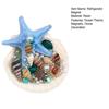 Starfish Conch Shell Refrigerator Magnet 3D Ocean Beach Fridge Magnet Home Kitchen Office Decoration Summer Birthday Gift