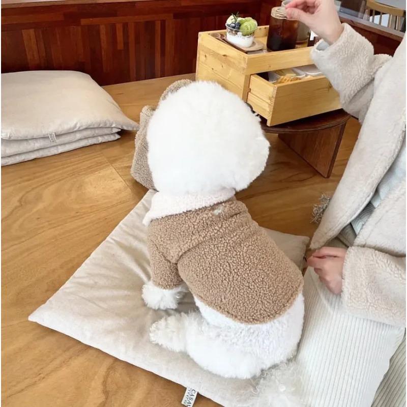 Höst Vinter Förtjockad Varm Kappa Hund Katt Spänne Skaka Fleece Kappa Teddy Yorkshire Liten Valp Hund Hornspänne Kappa Kläder