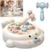 Educational Interactive Toy Whack A Mole Game Hobbies Pounding Hammers Included Knocking Toy Seal Montessori Toy Gift for Kid