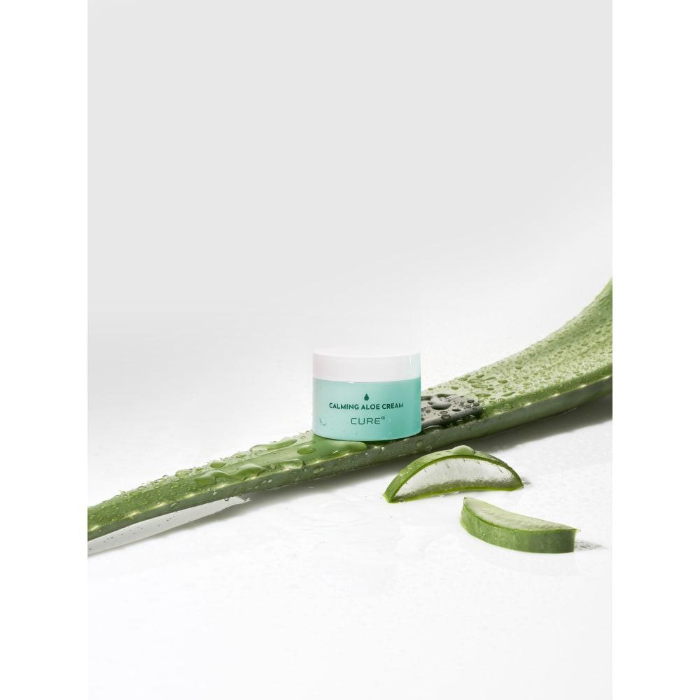 Kim Jeong Moon Aloe Cure Alpha Calming Aloe Cream 50g