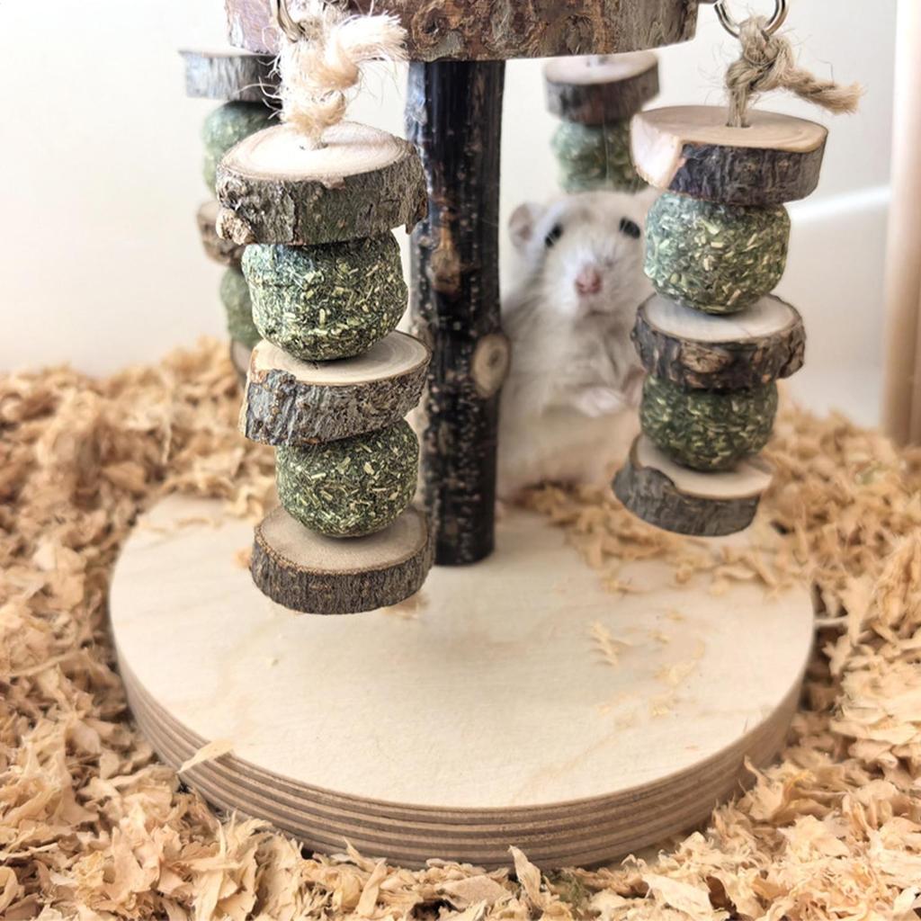 Toys For Hamsters Wooden Natural Teething Treats Hamster Chew Toys For Teeth Grinding Small Animals Mice Gerbil Chinchilla