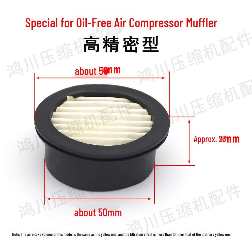 Oil-Free Air Compressor Kit: Direct-Coupled Pump, Silencer Muffler, Air Filter & Element.
