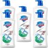 Safeguard Peppermint Icy Cool Body Wash