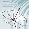 2026 New Model Transparent Umbrella, Fully Automatic, Compact and Portable, Stylish for Girls, Suitable for Car Use and Students Going To School