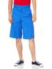 Dickies Shorts
