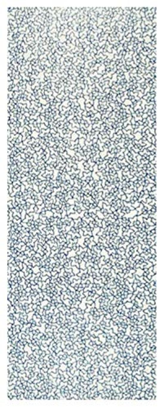 

Todaya Shouten Tenugui Hand Bellflower Pattern 1005 (Todaya Shouten) Nashien-zome (Japanese Towel) -