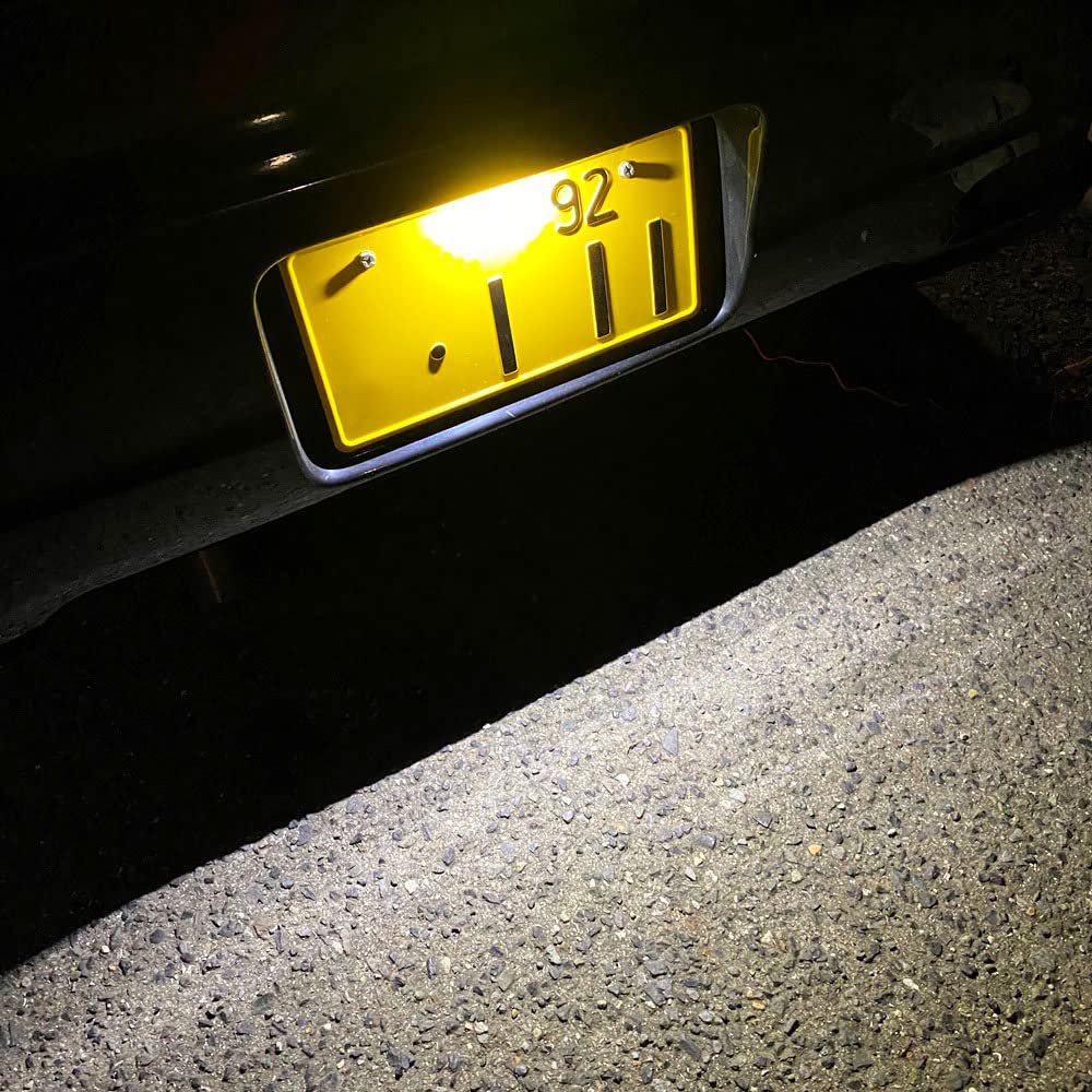 Discover Winds Motorcycle Car Ultra Bright 15 LED, Easy To Install, License Lamp,