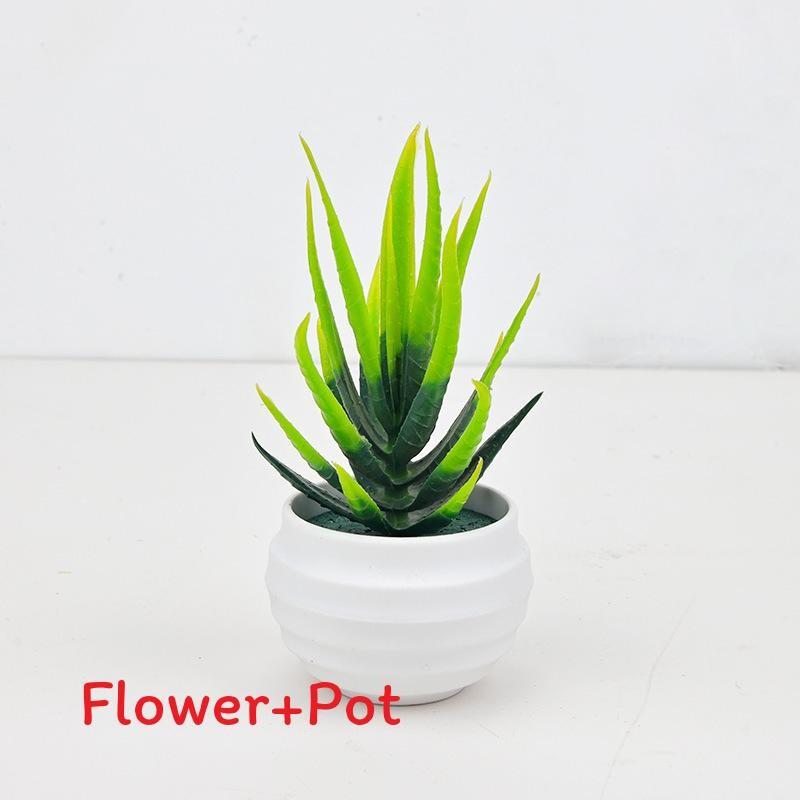 

Суккулент Вера Алоэ Миниатюрное Зеленое Растение в Горшке Для Декора Стола Дома и Офиса StyleF