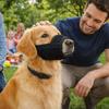 Prevent Chewing Anti Bite Dog Mesh Muzzle Prevent Barking Soft Puppy Adjustable Breathable Dog Mouth Cover Training Sessions