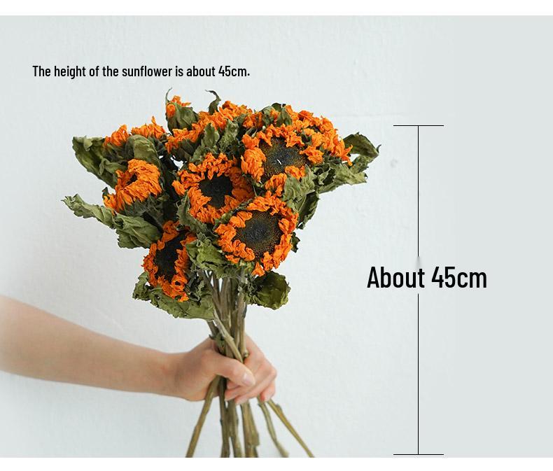 Sunflower Teddy Dried Flower Bouquet - Yunnan Natural Air-Dried Arrangement for Living Room Decor