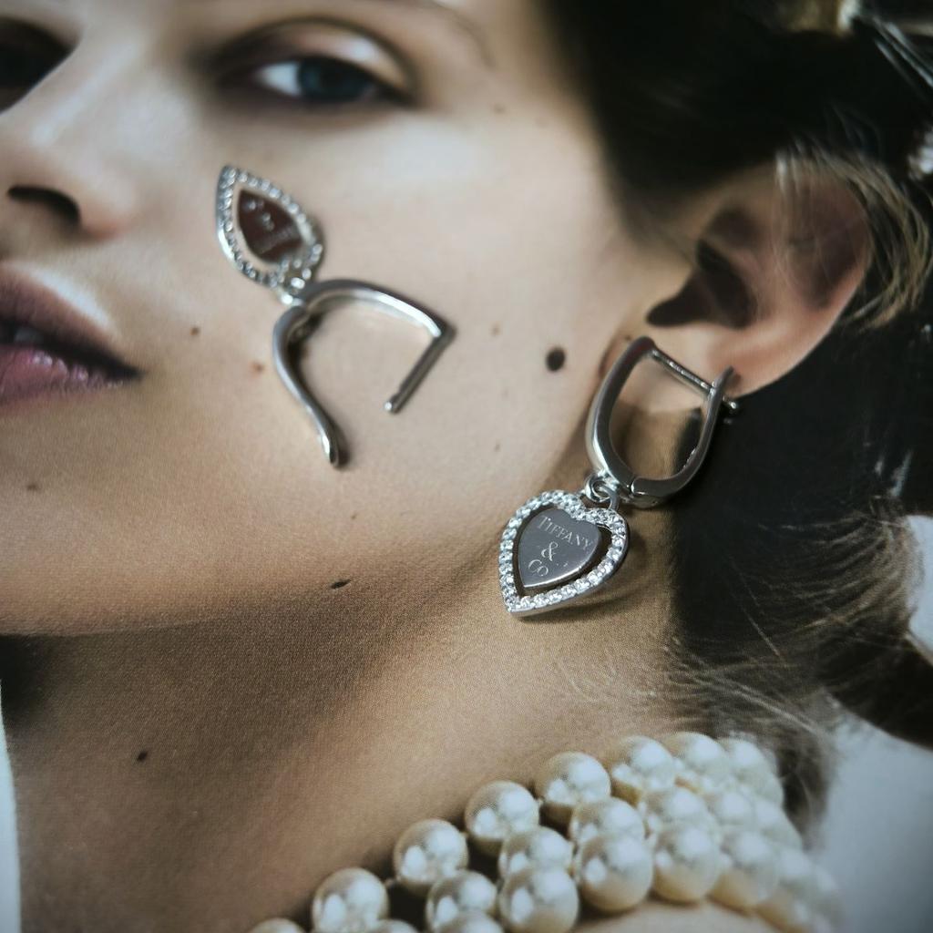 Silver Earrings with Cubic Zirkonia (2177500)