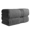AULIFLOWER Pure Cotton Bath Towels, Hotel-Quality, 60*120cm, Set of 2, Large, Thin, Soft To the Touch, Fluffy, Quick-Drying, Instant Absorbency, Lint-