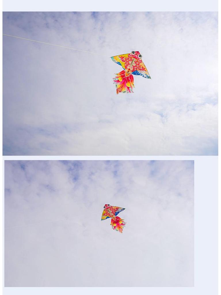 High-End Chinese Style Goldfish Koi Kite for Adults - Easy to Fly in Light Breezes.