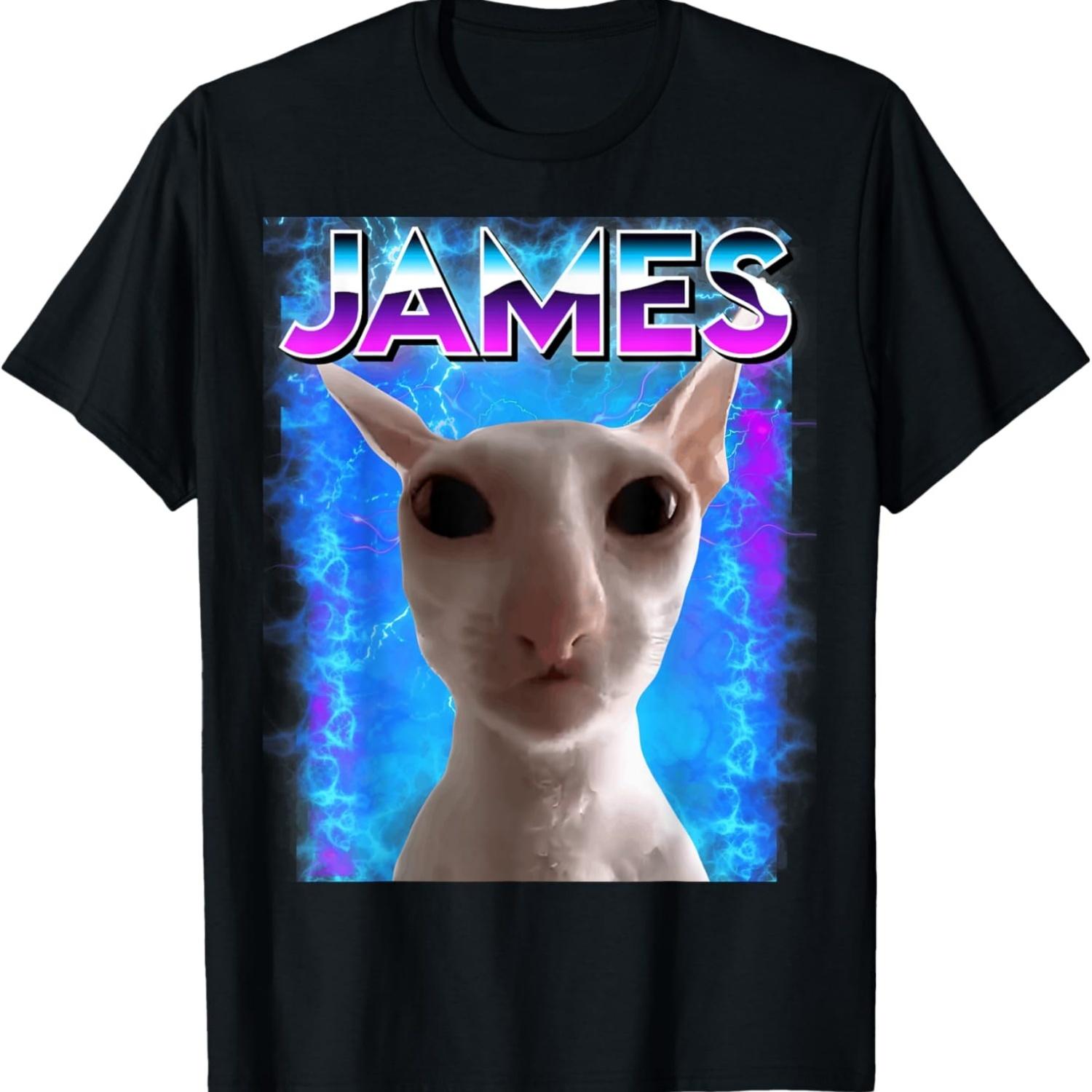 James Cat Meme Cursed Memes Brainrot Memes Oddly Specific T-Shirt S чёрный