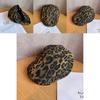 Retro Leopard Print Hat With Breathable Cotton For Fall Winter Season