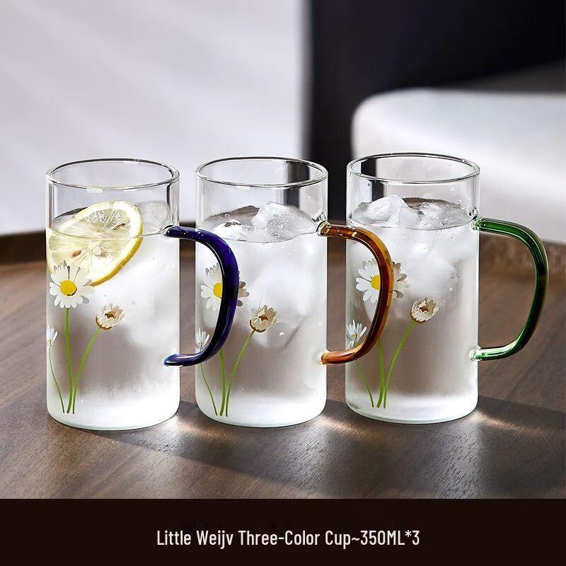 Heat-Resistant Glass Mug with Handle