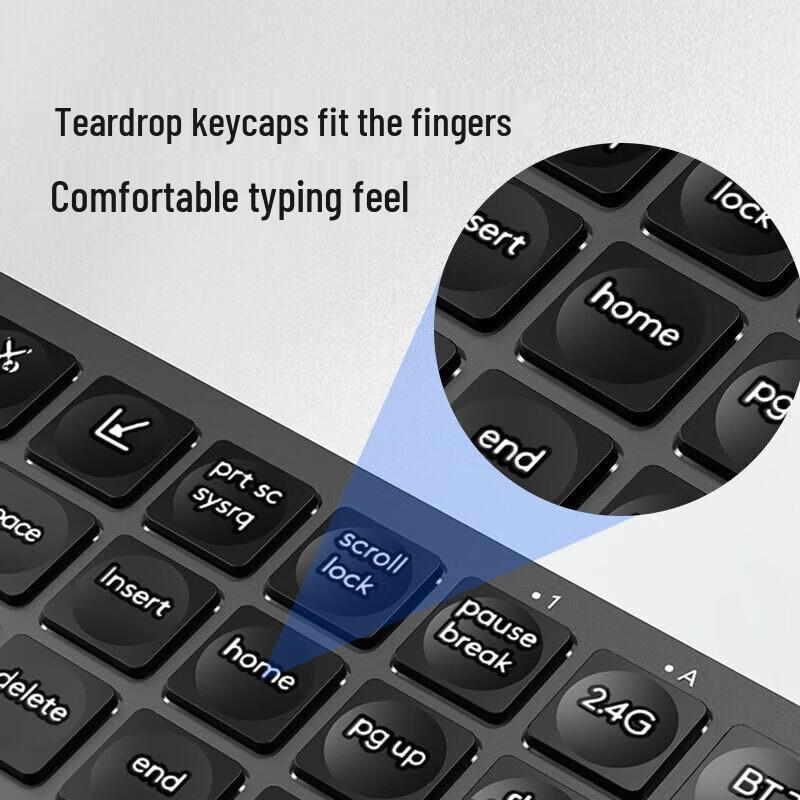 HP K241+Professor SE Keyboard and Mouse Combo