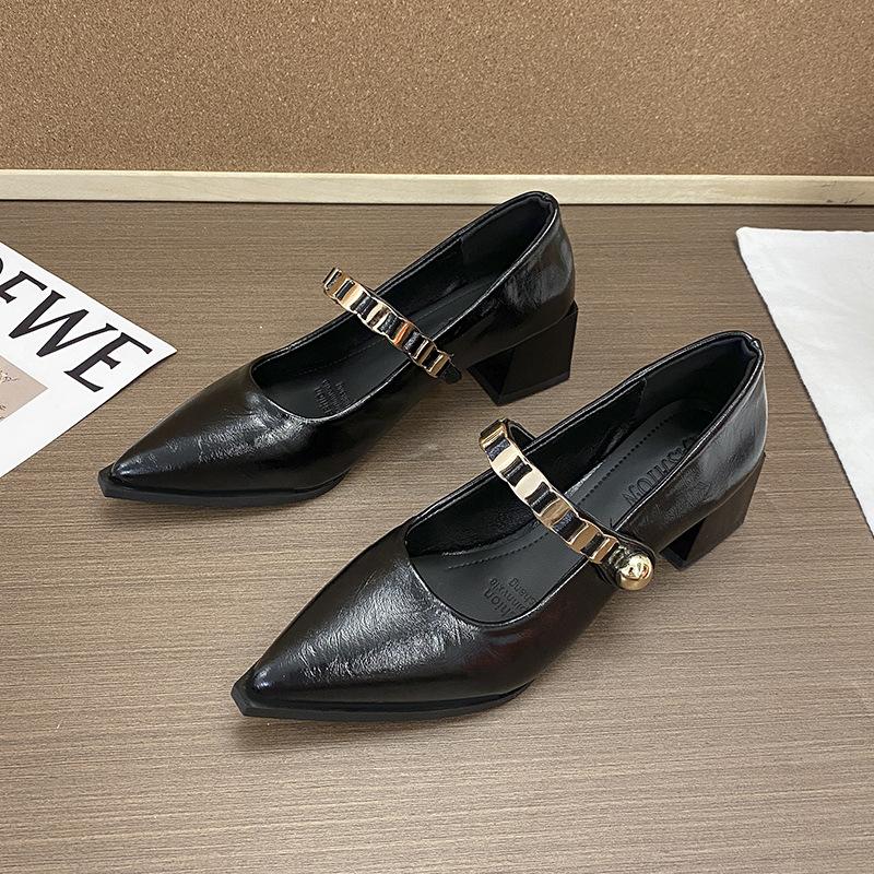 French temperament pointed high heels women's 2025 summer and autumn new one-word strap Mary Jane with skirt thick heel single shoes