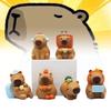 Adorable Capybara Figurine Cute Chubby Water Pig Creative Pvc Collectible Model Set