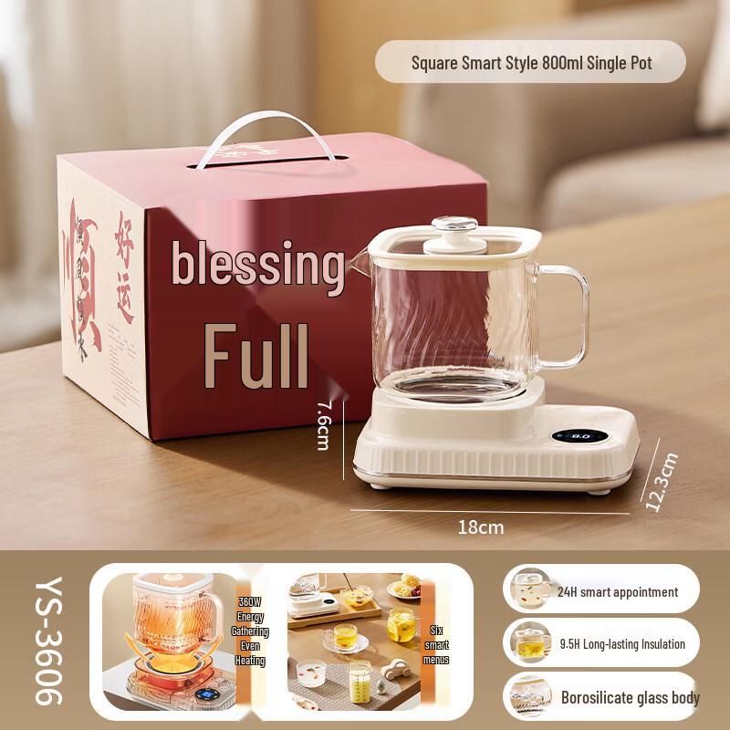 ZISIZ 800ML Electric Stew & Tea Kettle