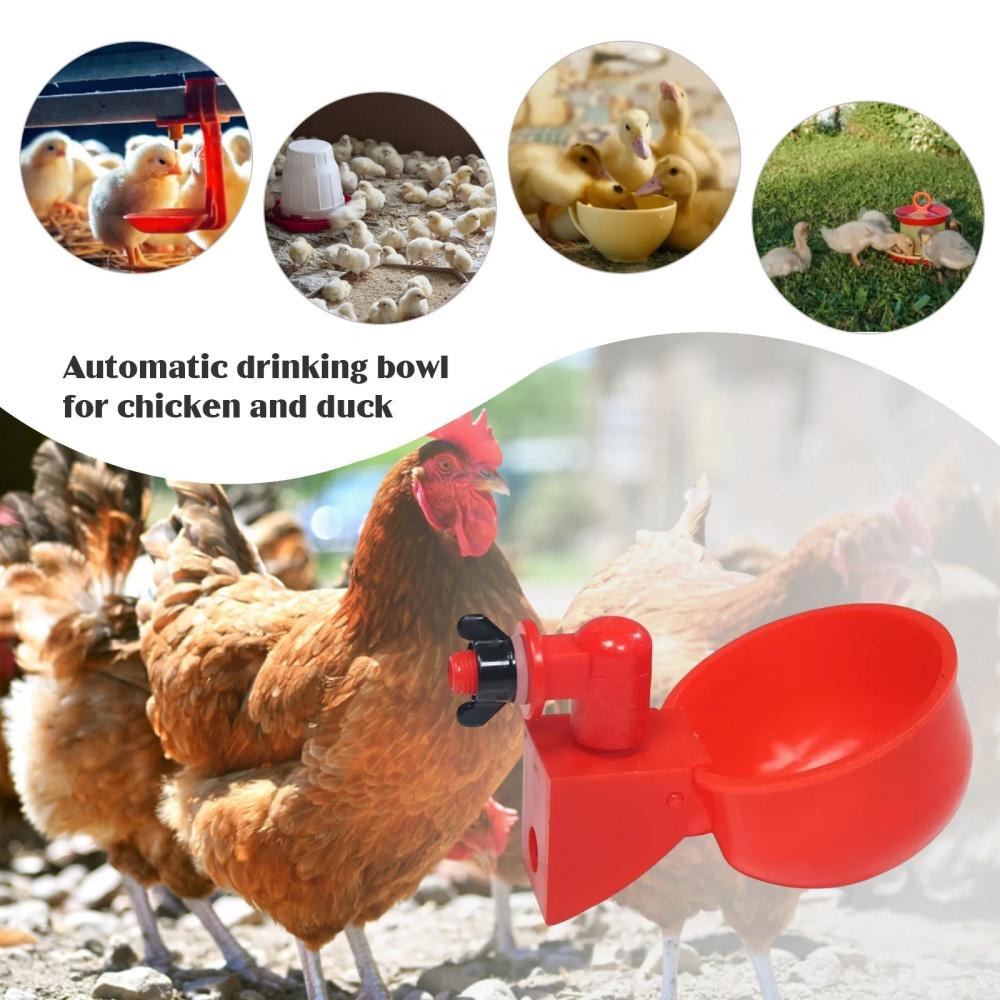 6pcs Poultry Water Dispenser Chicken Goose Universal Automatic Drinker Plastic Water Feeder Quail Drinker Farm Yard Accessories