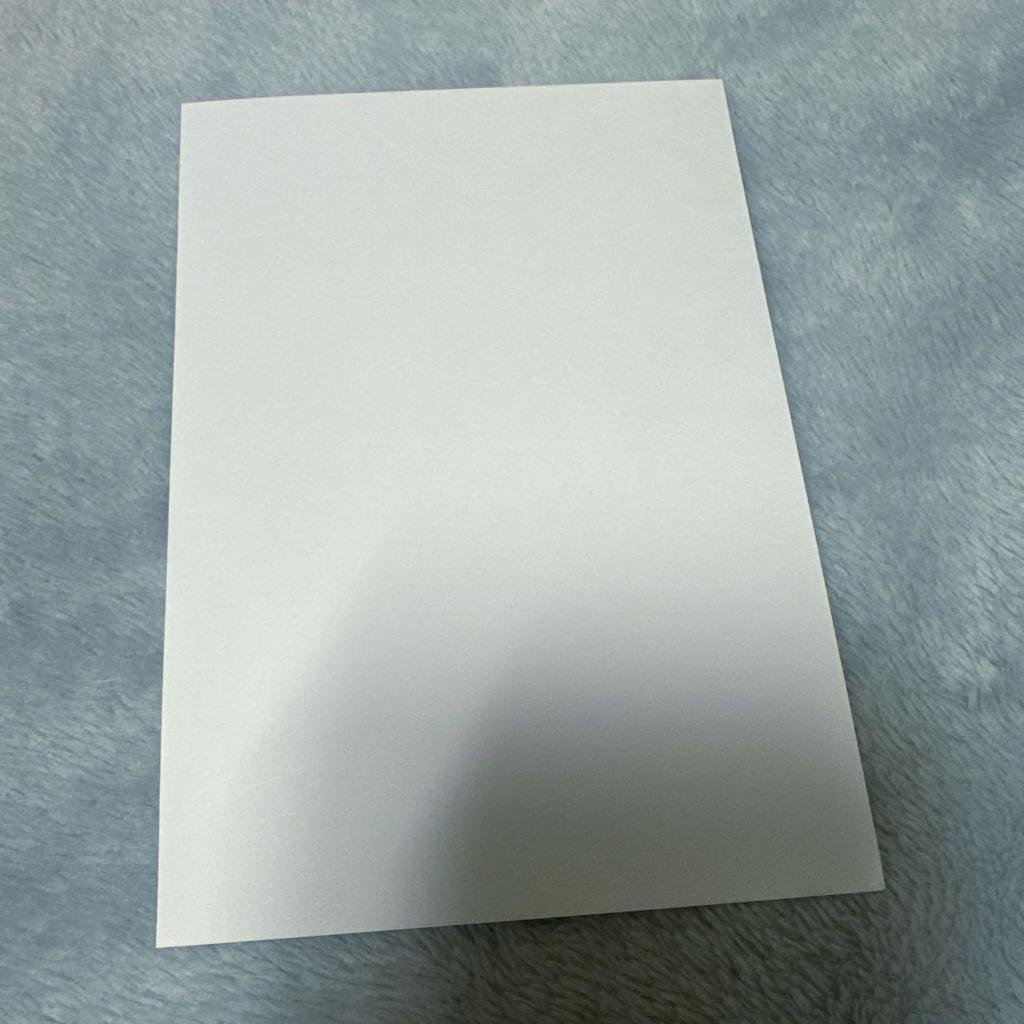 [USED] SEVENTEEN Wonwoo Net Print L Size