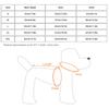 Autumn Winter Soft Plush Dog Clothes Hoodies for Small Dogs Puppy Overall Clothing Outfit