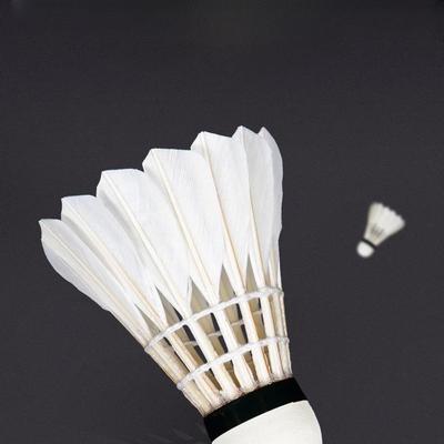LISM Strapazierfähige Badmintonbälle