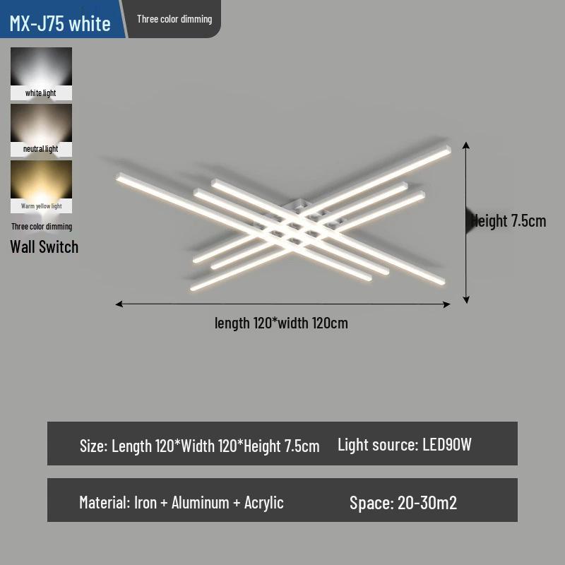 Modern High-End Ceiling Light for Living Room, Hall, Restaurant, and Bedroom
