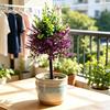 Τεχνητό Δέντρο Λεβάντας Topiary με Ακίδα Εδάφους Ανθεκτικό στην Υπεριώδη Ακτινοβολία Τεχνητοί Θάμνοι Λεβάντας Ρεαλιστικά Ψεύτικα Μωβ Φυτά Θάμνοι για Αυλή Βεράντα Patio