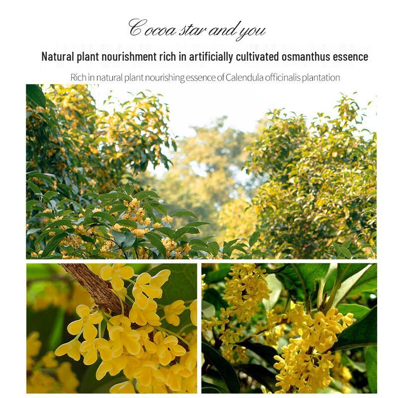 KOOGIS Osmanthus 2-in-1 Face & Body Soap