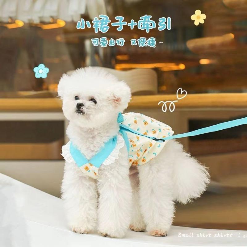 Dog Clothes Autumn Pet Teddy Bichon Pomeranian Small Dog Puppy Skirt Autumn Thin with Leather