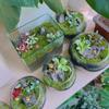 400/200/100PCS Micro Landscape Decoration Wooden Bee Ladybug Figurine Self-Adhesive Stickers Home Garden Beetle Miniature Bonsai Flower Decor