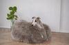 Oval Natural Sheepskin Pet Bed - Greige 120 Cm