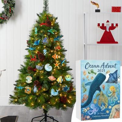 Christmas Calendar Advent 2025 2D Acrylic Ornament 24 Days Countdown Calendar To Christmas Toys for Learning Development Family