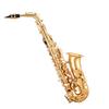 Gold Brass Alto Saxophone Eb E Flat Sax Beginner Kit with Case Mouthpiece