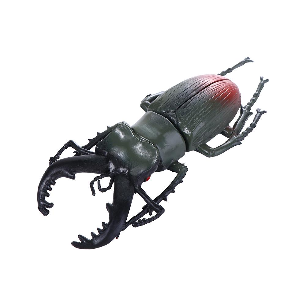 Fake Beetle Beetle Figures Simulation Animals Insect  Beetle  Special Lifelike Model Insect Model Simulation Beetle