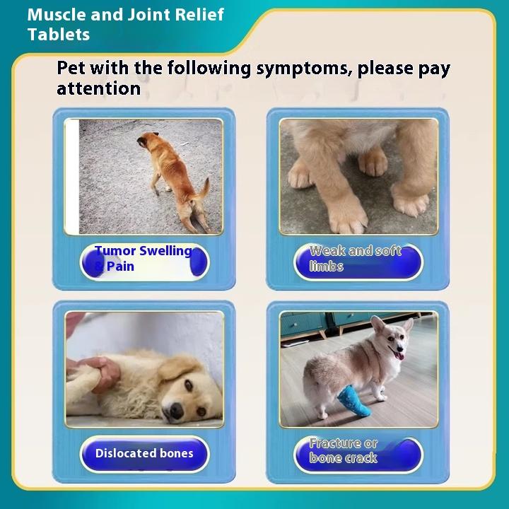 Jinling Lösungstabletten für Hunde, Medikament gegen Lahmheit, spezielles Chondroitin bei Patellaluxation, Kalziumergänzung für gebrochene Gelenke